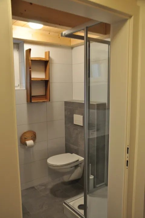 Doucheruimte en toilet in de badkamer