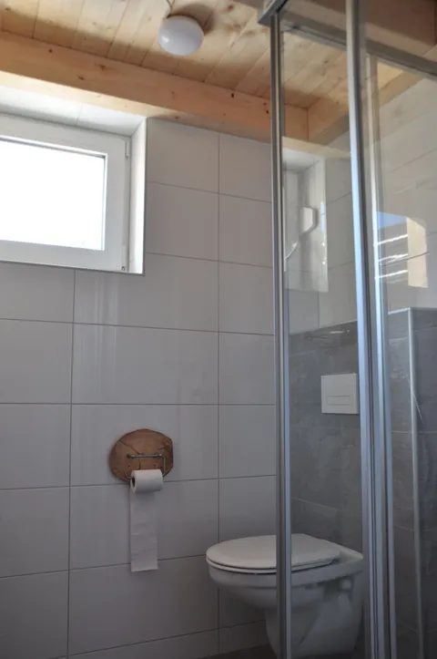 Badkamer met douche, toilet en wastafel